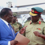 MNANGAGWA’S MOVE TO STAY SAFE: EXTENDING GENERAL SIBANDA’S TERM