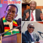 ZIMBABWE’S POWER STRUGGLES: THE PEOPLE ALWAYS SUFFER WHILE THE ELITE FIGHT FOR THRONES